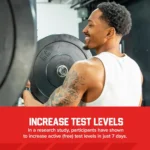 Six Star Testosterone Booster (60 Tablets) - Image 4