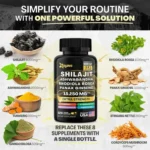 Zoyava Shilajit Ashwagandha Panax Ginseng (15,250 mg) – 60 veggie capsules - Image 3