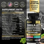 Zoyava Shilajit Ashwagandha Panax Ginseng (15,250 mg) – 60 veggie capsules - Image 2
