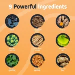 Herbtonics Shilajit for Men & Women with Ashwagandha, Korean Red Ginseng, Rhodiola Rosea, Ginkgo Biloba, Tongkat | 60 Vegan Capsules - Image 3