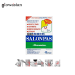 Salonpas instant Pain Relieving Patch 40 Patches