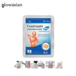 Taisho Counter Pain Medicated Plaster 4 Patches ( Cool)
