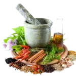 Herbal & Ayurveda