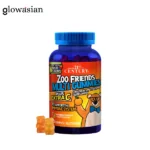 21st Century Zoo Friends Multi Gummies Plus Extra C - 60 Gummies | Kids Multivitamin with Immune Support