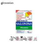 Salonpas instant Pain Relieving Patch 40 Patches